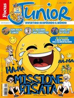 Focus Junior